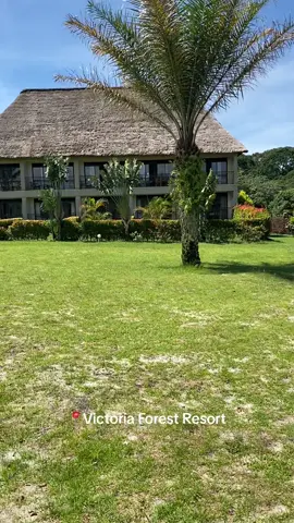 Victoria Forest Resort. Count me in any thing with beautiful views. #fypシ゚ #vacationsbysusan #foryou #tiktok #vacation #adventure #uk #uganda #viral #lakevictoria #kampala_tiktokers #trending #viral #travel #travelplanner 