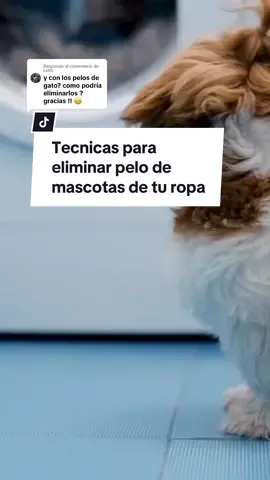 Respuesta a @Letib Hola a todos! Nos han preguntado, ¿Cómo podemos eliminar los pelos de animales de la lavadora? Pues bien, hoy queremos compartir con todos vosotros algunos consejos útiles. Si nos ha faltado alguno, dejanoslo en los comentarios. 🐱🐶🫧 #lavadora #animales 