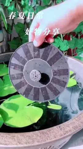 Đài Phun Nước MiNi Năng Lượng Mặt Trời #daiphunnuocmini #giadungthongminh #giadung