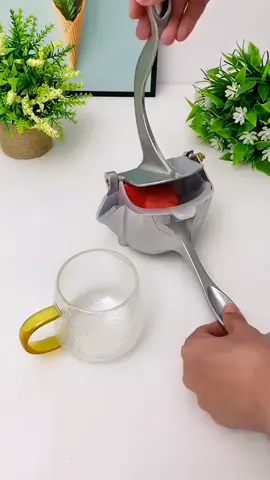 Alat peras buah 440, alat peras buah manual bahan stainless steel #perasbuah #alatperasbuah #alatperasbuahmanual #perasanbuah #bazaarperabot #fyp 