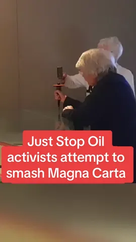 Just Stop Oil activists in their 80s attempt to smash Magna Carta glass #dailymirror #breakingnews #fyp 