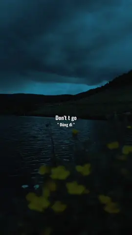 Don’t go 😞#music #musicchill #chill #chillmusic #musictiktok #tiktokmusic #trendmusic #🎶 