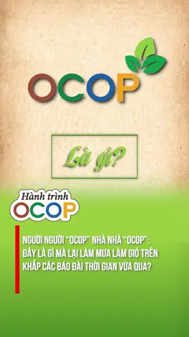 HOÁ RA OCOP CHỈ ĐƠN GIẢN LÀ NHƯ THẾ NÀY #hanhtrinhocop #ocop #thaibinhocop 
