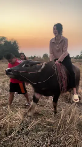 #แต่เขาน่ารักมากเลยนะ #พูดยังไม่ทันขาดคำ #ตกควาย 