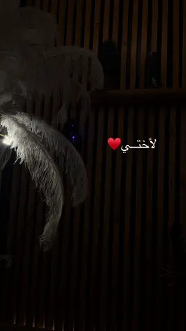 #أختي_يا_حبيبة_قلبي #منشن_للي_تحبه #منشن #اكسبلورexplore 