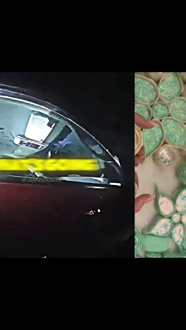 State Trooper hugs the U.S. Army veteran suffering from PTSD  #specialforces #military #soldier #militaryedit #usarmy