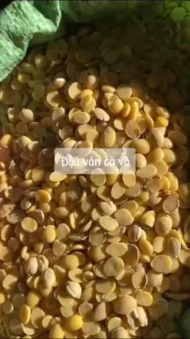 Đậu ván cà vỏ tiết kiệm thời gian #dauvancavo 