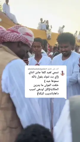 الرد على @abdallaabdulgader1 #علي-اب-هدي#شلاتين_عبابده_بشاريه 