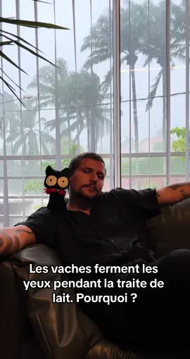 #fyp #pourtoi #fyyyyyyyyyyyyyyyy 