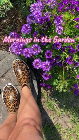 Early mornings outside are my favorite #backyardgardener #gardenchores #morningsinthegarden #millenialgardener 
