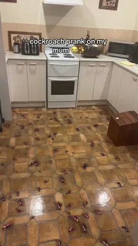 Never seen her walk so fast 😭💀🤣 #foryoupage #cockroachparty #cockroach #unlockmylikes #xybca #oldlady #blowthisup #karen #grumpymum #fyp 