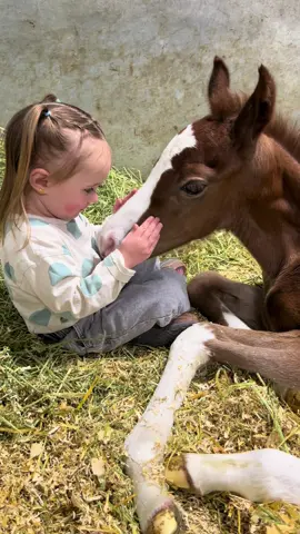 Recap of my favorite moments with them so far 🤍 #fyp #viral #toddler #toddlersoftiktok #Love #barnlifeisthebestlife #foal #foalsoftiktok #babyhorsesoftiktok #babyhorse #babytok #blessed #cute #babyfever 