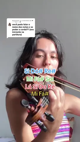 Respondendo a @☁︎~♡︎ nini 🂱~☁︎ 💙 Corda Sol 💚 Corda Ré ♥️ Corda Lá 💛 Corda Mi Espero que ajude!!! Coloquei com a velocidade um pouco reduzida pra ficar mais facil de ler 💕  #lindseystirling #violin #violintutorial #violinistasdetiktok #violino 