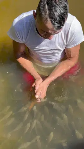 #valdemir encantador de peixe 