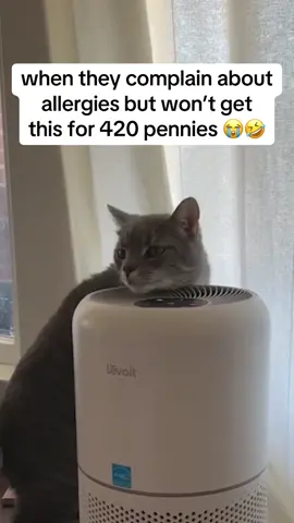 allergy season is here yall need to get one of these 😎 #fyp #foryou #allergies #dust #airpurifier #tiktokfinds 