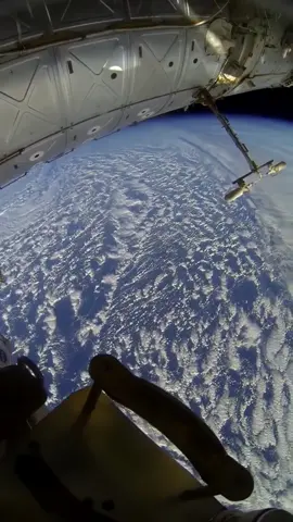 This Is What Being in Space Looks Like #spacemanedu #fyp #foryou #space 