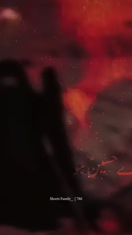 Kya Tum Mere Hussain Ho | #mirhassanmir #shortsfamily_yt #noha 