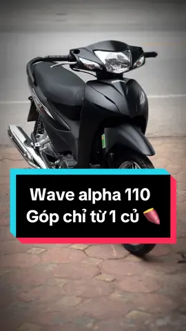 Wave alpha 110 2024 màu đen nhám . Góp chỉ từ 1 củ 🍠 nhận xe #wave #xuhuong #xemaynamcuong #fyp 