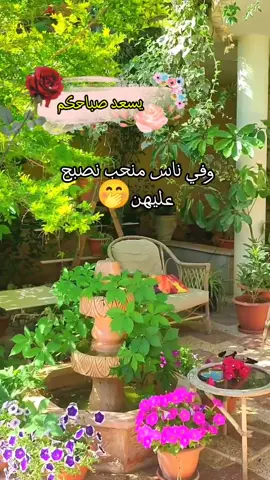 #CapCut #صباحكم_أحلى_صباح #يسعد_صباحكم #♥️ #صباح_الورد_و_السعادة_لاجمل_قلوب🌹🦋 #متابعه_ولايك_واكسبلوررررررررر 