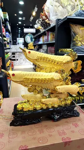 Golden Arowana Fish Statue regarded as a symbol of health , peace , prosperity ,luck and wealth ● Arowana Fish Statue is believed to ward of negative energies. ● Ideal for Home decor, office decor and the most fabulous gift for your friends and family #kestore #interiordesign #arowana #arowanafish #goldenarowana #fengshui #decoration #interiordesign #howtodecor #decorativeideas #following #fypage #fypage #fypシ゚viral #viraltiktok #viral #trendingvideo #trend #trending #hashtag #houseoftiktok #indoordoor #homedecor #statue #dragonfish 