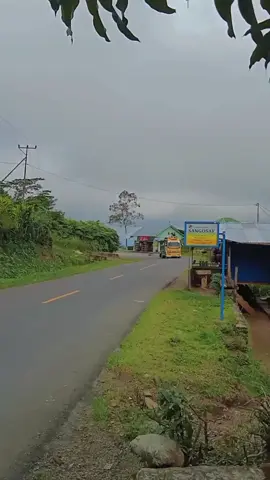 #Santememang🤙🤙  #belangturiledas😎 #cantermaniaindonesia  #fypシ  #From_matim🎉🎉 @belangturi_oficial  @inok6015  @rolan_jarut_004 