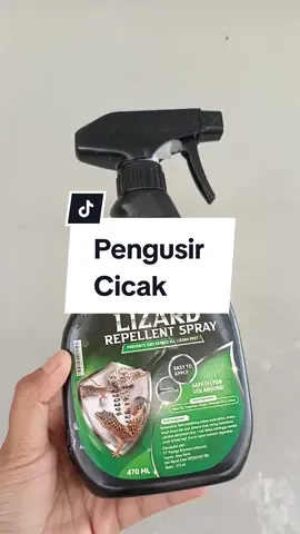 Hempaskan Cicak Cicak Bandel #pengusircicak #seroxil #fyp #viraltiktok 