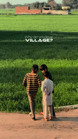 #villagevideos #villagelife #punjabvillage #gujratvidoes #nature #pindvibes #fypage #viral #explore #unfreezemyaccount #randomstuff #aestheticvideos 