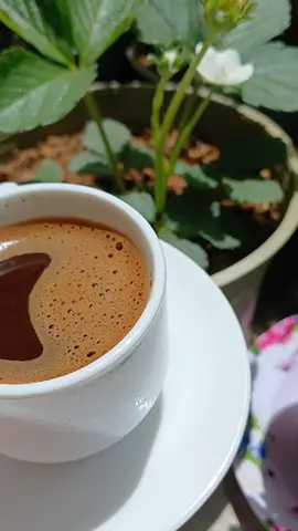 #صباح_الخير  #احلى #فنجان #your_coffee #ادام #الورد #
