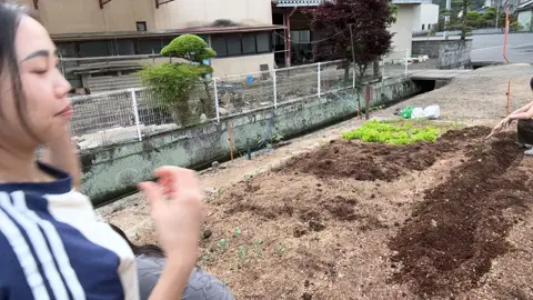 Có a nào chịu về trồng rau nuôi cá với e hông🥰