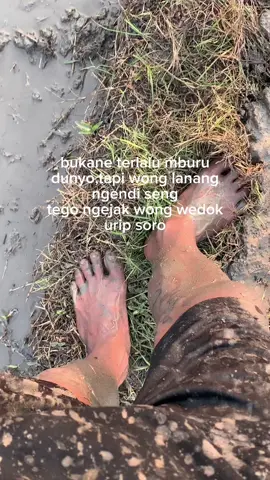 😄#petanimuda #nglukumadangbayaran #petaniindonesia🇮🇩🇮🇩🇮🇩🌿🌿 