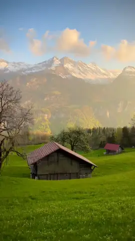 فيديوهات قران للتصميم بدون كتابه#الله_اكبر #اللهم_صلي_على_نبينا_محمد #لا_اله_الا_الله #قران #قران_كريم #اللهم_صل_وسلم_على_نبينا_محمد #اللهم_صلي_على_نبينا_محمد #اللهم_صلي_على_نبينا_محمد❤️ #اللهم_صل_وسلم_على_نبينا_محمد 