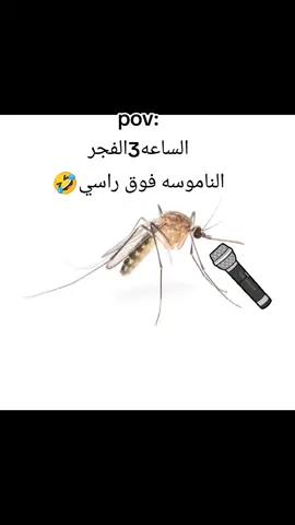#الشعب_الصيني_ماله_حل😂✌️ #اكسبلورexplore #frypage #frypgシ🤣🤣🤣 