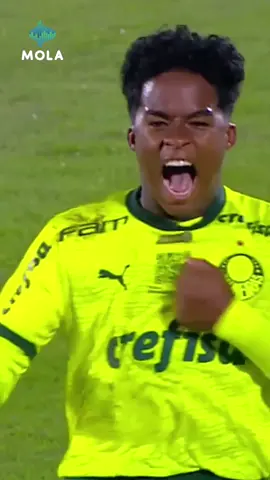 𝙲𝚎𝚕𝚎𝚋𝚛𝚊çã𝚘 𝚒𝚌ô𝚗𝚒𝚌𝚊 🦍✌🏼⚽ @Endrick Felipe @SE Palmeiras @Libertadores #CopaLibertadores #Endrick #celebration #Palmeiras #Libertadores #futbol #tiktokfutbol #football #calcio #TikTokcalcio #Mola 
