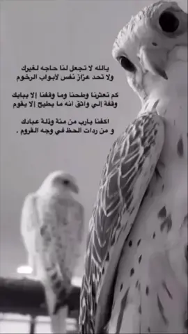 #قصيد #خواطر #شعب_الصيني_ماله_حل😂😂 #لايك #اكسبلور #فولو_اكسبلور #قصايد #اكسبلورexplore #انشهد ##fyp 