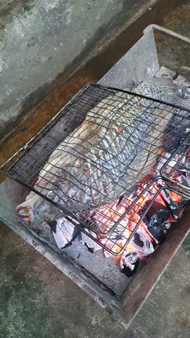 Cá nướng Than Hoa tây bắc