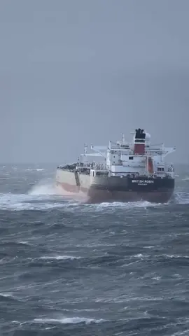The vessel covers pilot boat 🌊 #ship #vessel #storm #spotting 
