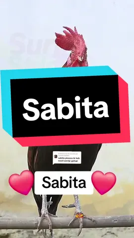 Antwoorden op @sriestie.debidin #VoiceEffects #fyp #voorjou #hindoestaans #hindoestanenbelike #suriname #surinametiktokers #sandralevel #antwoord #reactie #funnyvideos #tiktokholland #positiviteit #meme 