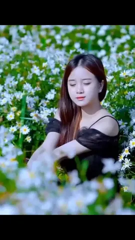 đem cuối tình yêu #nhacbolero #nhachaymoingay 