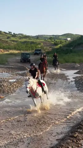 #fyp #mamcenter #خيل_وخياله🐎 #خيل_وخياله #horsegirl #viral #اربيل #kurdishgirl #خيالة #اكسبلورر #kurdistan 