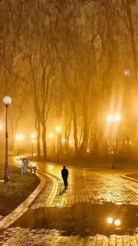 Mưa Đêm Tỉnh Nhỏ  ...!!!                       #xh #nhachaymoingay #nhackhongloi #canhdepthiennhien #bolero #xuhuong #foryou #CapCut 