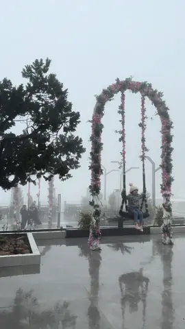 -      قهوة وسط الضباب 🥹🤍.                                  #الشفا #الطايف #الهدا #your_coffee #كافيهات_الطائف #foryou #foryoupage #explore #trending #ضباب #كوفي #الطايف_الان 