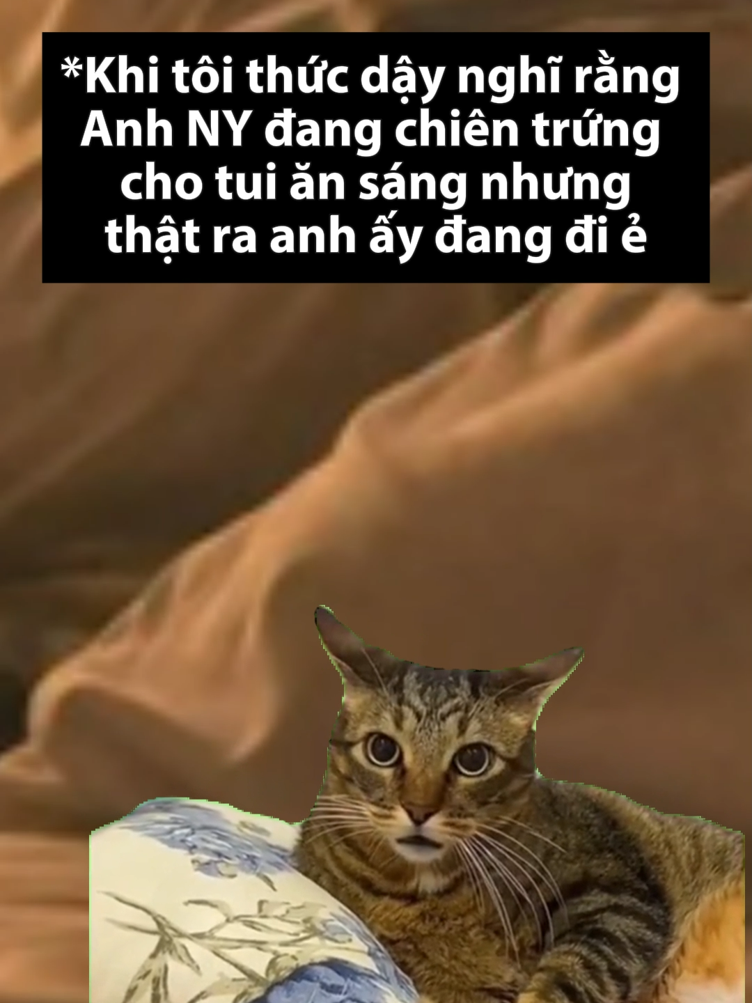 Trứng này có mùi hơi lạ 🤡🤡🤡 #xuhướng #catmeme #haihuoc #vuinhon #pov