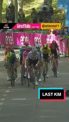 🔻 No major sparks on the final climb today as the stage ends in a narrow sprint between the GC men. The Slovenian wins again 🇸🇮  @UAE Team Emirates  ⏪️The Ultimo Kilometro #giroditalia #giroditalia2024 #cycling #tadejpogacar #race #lastkm 