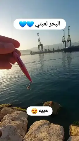 💙💙💙 #بحر #بحري #صيد #صياد #سمك #سمكه #ترند_بحر #ترند #اكسبلور #تك_توك   @محمد 🎣 الجبر 
