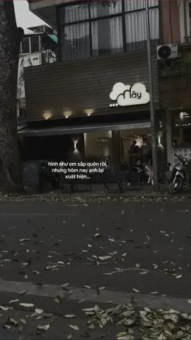 tại sao vậy..? #thl #xh #xhtiktok #story 