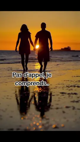 J'espère que tu comprends  #france #citation #renne  #motivation #loveyou #jetaime #amour #damour #viral #vues #Love #conseil #trend   #Relationship #relation #fypシ #foryoupage @geralben @geralben @geralben 