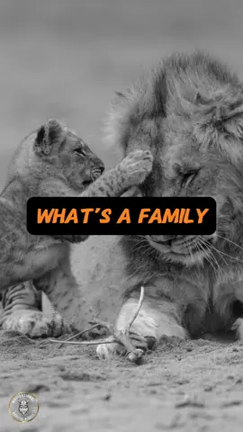 What’s a family? Is it the memories, the laughter, or the unconditional love. #motivationalwarriormindsets #motivationalwarriors #lion_mindset #inspirationalmessagefortheday #inspirational_messages #quotes_about_life #whatisfamily #threadsoflove #enduringconnection #unconditionalsupport #circleoftrust 