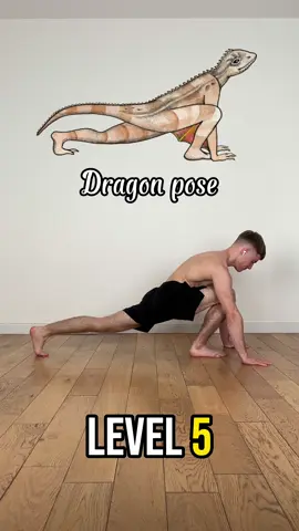 Yoga animal poses level 1 to 10 🦋 The difficulty is relatively the same on the first levels Don't be fooled by the ranking, which is different for everyone 💪 Credits for the illustrations : @nicoledebarber By clicking on the link in my bio, you will be able to access my personal flexibility routine ✅ With +100 equipment-free stretches accessible even to beginners ! #flexibility #mobility #stretching #supple #stretch #stretches #yoga #pain #health #gym #gymnastics #training #workout #calisthenics #exercise #amazing #bodyweight #streetworkout #animalposes #challenge #ranking #fun