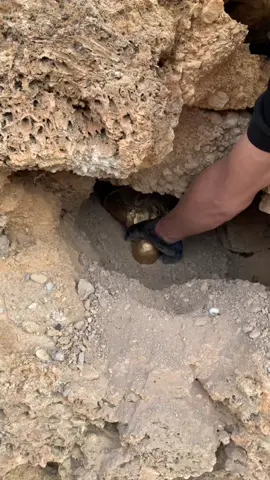 cherche tresor chasse tresor #archeology #History #gold #treasuremakerさんと繋がりたい #lost_world_treasures 