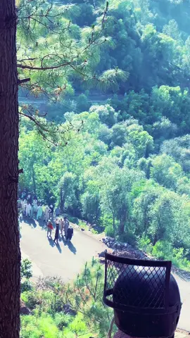 Kashmirion ki jado jead rigain naii jye gei today strike in kotli ajk kashmiri people#foryou #foryoupage #viral #trending #grow #acount #standwithkashmir #fyp #fypシ゚viral #trending #viral #grow #account #adnandani 